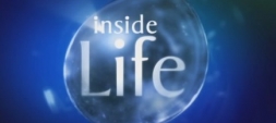 Inside Life